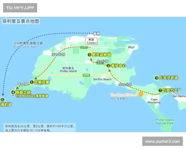 极寒之赞:跳跳企鹅岛攻略指南 极寒之赞:跳跳企鹅岛攻略指南